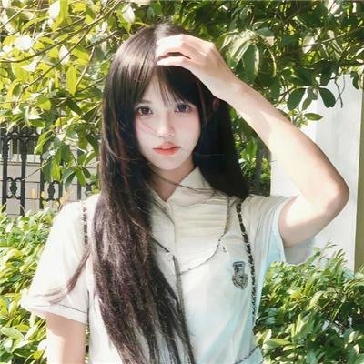 千年鹤 海报