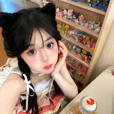 挎斗摩托车里的狗 海报